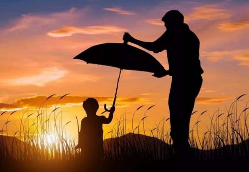 我愛人生作文的開頭