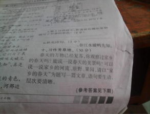 描寫(xiě)春天美麗的景色的作文400字,有關(guān)春天美麗景色的作文評(píng)語(yǔ),描寫(xiě)春天美麗景色的作文