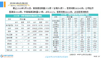 酒店市場調(diào)查報告(酒店市場調(diào)查報告)