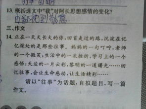 那些有趣的往事作文開頭