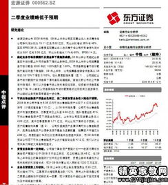 審計(jì)報(bào)告審計(jì)意見范文(審計(jì)意見及建議)