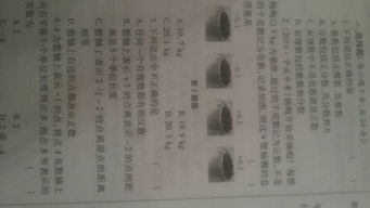 家鄉(xiāng)的秋天這個作文的開頭