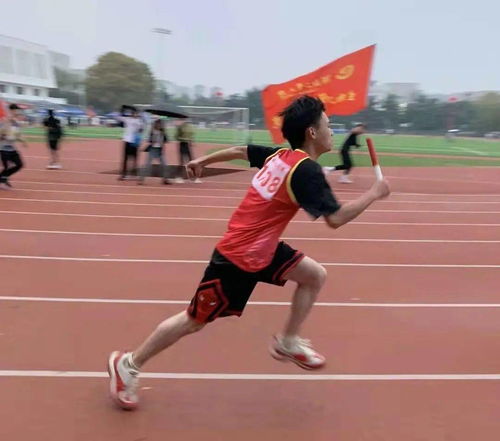 校園里的籃球賽的作文500字作文開頭