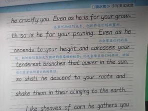 英語作文開頭打招呼萬能句子,高考英語作文開頭萬能句子,高考英語作文萬能句子開頭和結(jié)尾