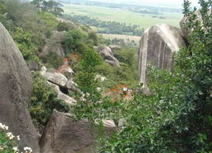 游東山嶺作文開頭