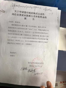 公益性崗位整改報告(公益性崗位調研報告)