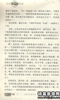 描寫運動會的精彩作文開頭