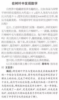 時(shí)間數(shù)學(xué)作文開頭