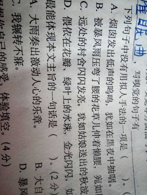 那一次玩得真高興作文600字作文開頭