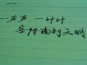 不想再見作文開頭