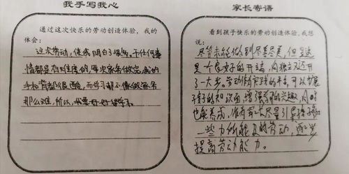 你勞動(dòng)的樣子真美作文優(yōu)美開頭