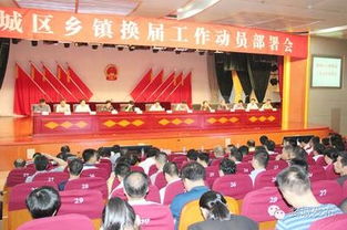 黨代表審查報(bào)告(經(jīng)費(fèi)審查整改報(bào)告)