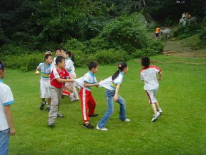 快樂(lè)的秋游作文開(kāi)頭