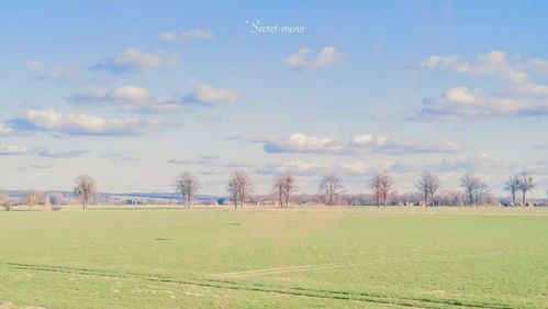 能用在作文開頭的神仙句子