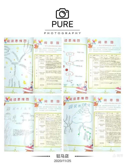 文明活動作文600字作文開頭怎么寫