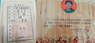 機(jī)要工作總結(jié)(機(jī)要的近義詞)