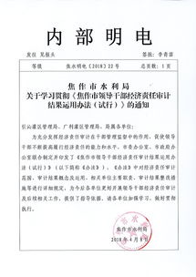 局長的經(jīng)濟(jì)審計報告范文(教育局原局長任期經(jīng)濟(jì)責(zé)任的審計報告范文)