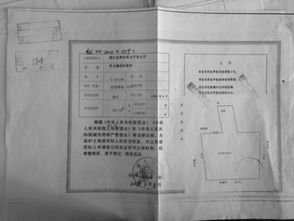 關(guān)于辦理土地證的申請報(bào)告(土地證辦理費(fèi)用)