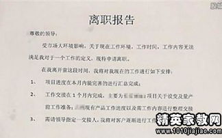 財務(wù)人員離職審查報告(財務(wù)人員離職報告)