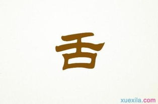 風(fēng)的聲音作文開頭和結(jié)尾
