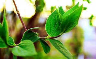 工科實習(xí)報告怎么寫工科實習(xí)報告范文大全(工科實習(xí)報告)