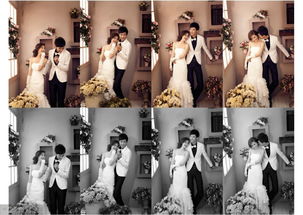 調(diào)調(diào)(調(diào)調(diào))