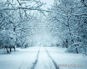 作文冬天的風(fēng)景開頭