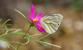瞬間的感悟作文開頭