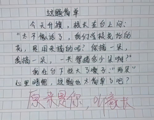 結(jié)解開了作文開頭