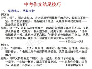 一次活動作文的開頭和結尾怎么寫