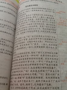 圍繞暖字寫作文開頭