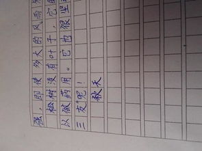 唯美的秋作文開頭結尾