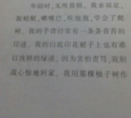 親情是首歌作文開頭