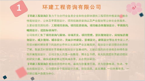 民非可行性報(bào)告(德國(guó)非移民簽證的分析)