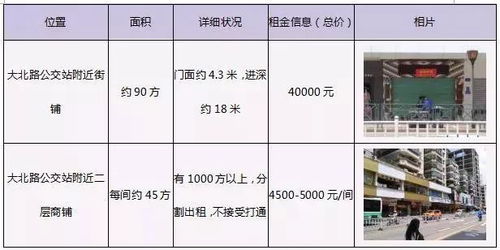 城市馬路市場調(diào)研報告(馬路市場整治方案)