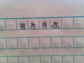 獨一無二作文開頭