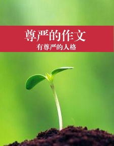 關(guān)于堅持的議論的作文開頭