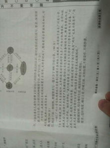 我與讀書作文600字作文開頭