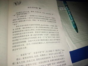 初一我們家作文600字作文開(kāi)頭