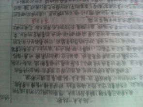 窗外作文800字初二寫景開頭