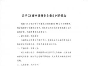 公司自查報告范文(商貿(mào)公司自查報告范文)