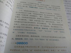 我的媽媽作文環(huán)境描寫(xiě)式開(kāi)頭和結(jié)尾