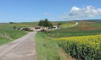 風(fēng)景在路上唯美作文開頭