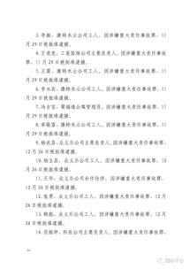 火災(zāi)事故調(diào)查報告(火災(zāi)事故的調(diào)查報告)