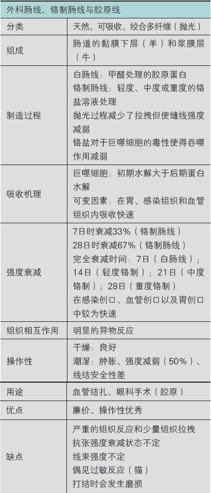 個(gè)人優(yōu)點(diǎn)和缺點(diǎn)總結(jié)(個(gè)人總結(jié)缺點(diǎn)和不足)