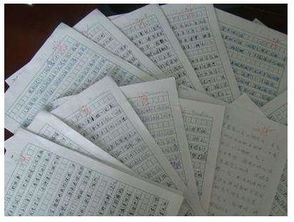 不要盲目模仿的作文開(kāi)頭