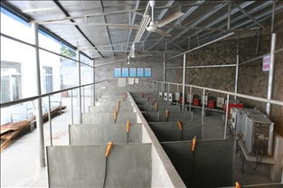 焊接實(shí)訓(xùn)報(bào)告范文(焊接實(shí)訓(xùn)報(bào)告5000字)