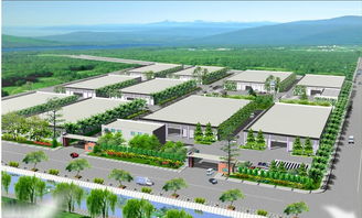 鐵路工務(wù)調(diào)研報(bào)告(鐵路工務(wù)年度總結(jié))