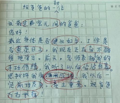 我的奶奶作文開頭怎么寫,我的奶奶的作文開頭,我的奶奶作文開頭結(jié)尾