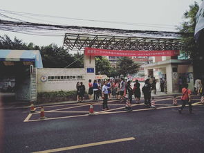 不敢靠近作文開頭